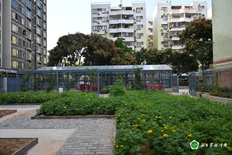 私立华联学院园林专业苗圃基地揭牌，开启园林教育实践新篇章